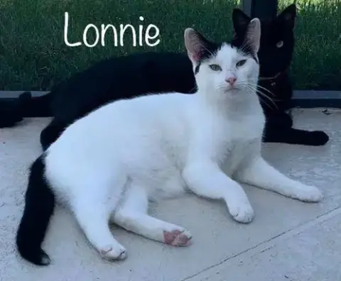 Lonnie