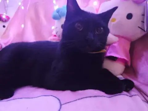 Precious
