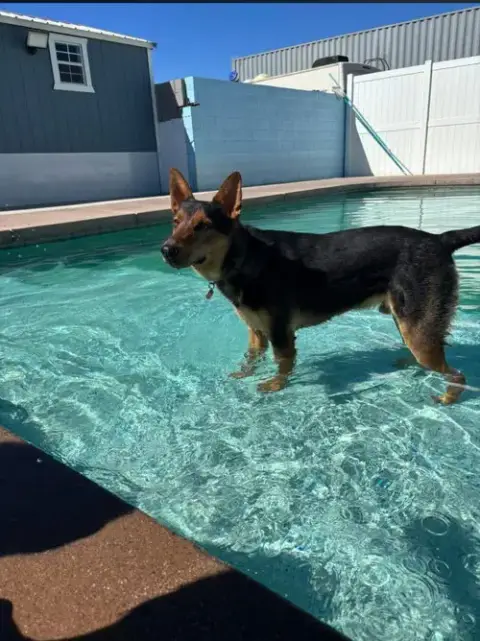Loki #12 photo 2