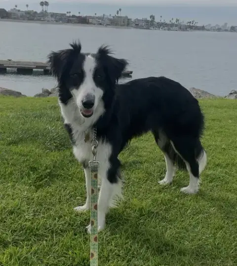 Ellie