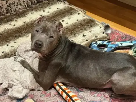 Toby photo 3