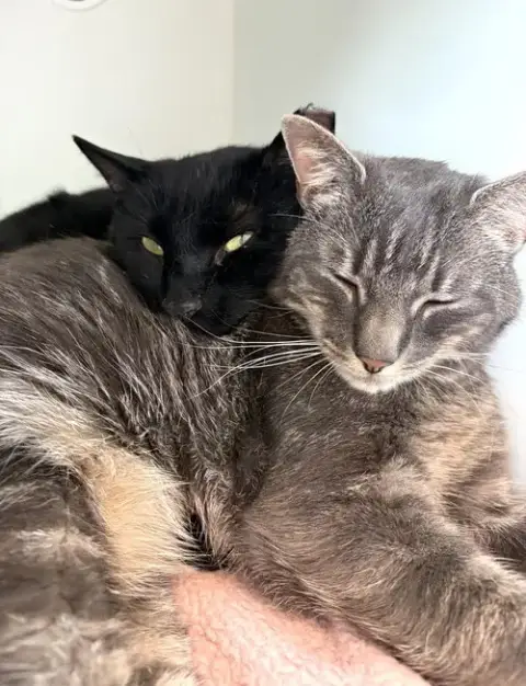 Sleepy photo 4
