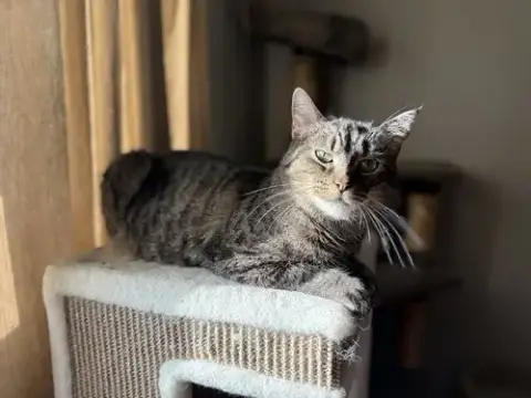 Maggie