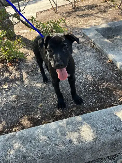 Luna