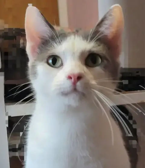 Carl