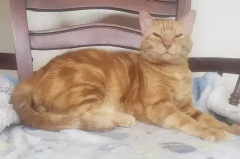 Lucky photo 5