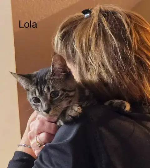 Lola photo 3
