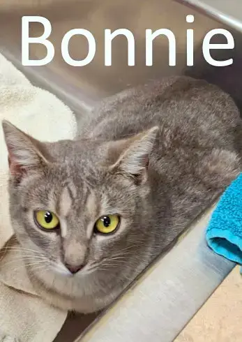 Bonnie photo 2