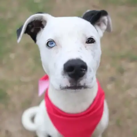 Amy