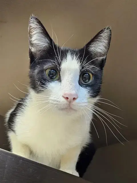 Sabine
