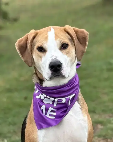 Hazel photo 2