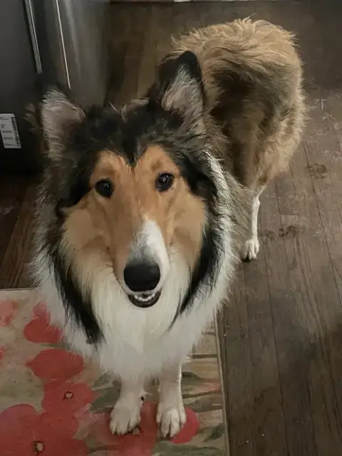Lenny