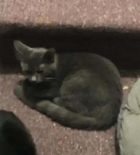 Alison Bonded With Sheri