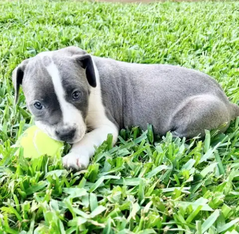 Lexi photo 2