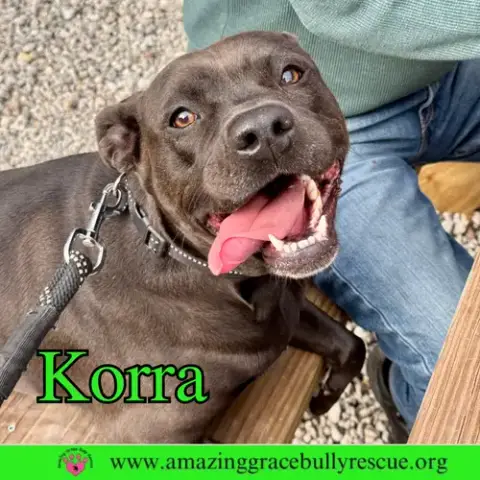 Korra photo 2
