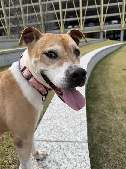 Jewels photo 4