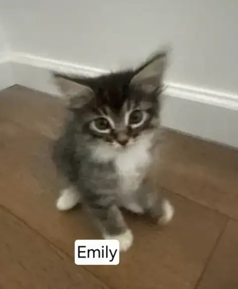Emilo photo 2