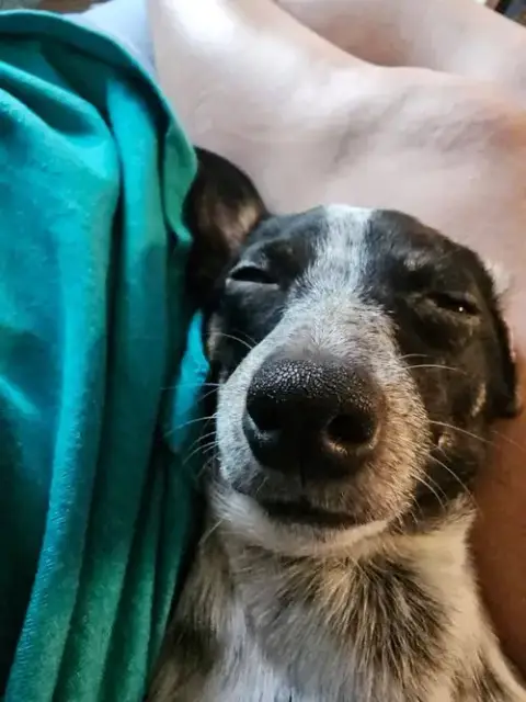 Chico Benito photo 3