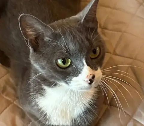 Morgan photo 2