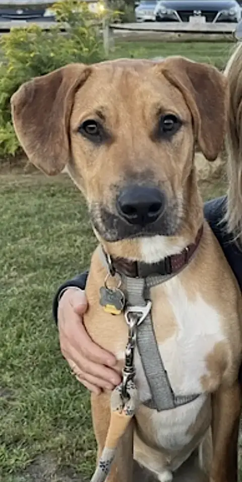 Murphy photo 4