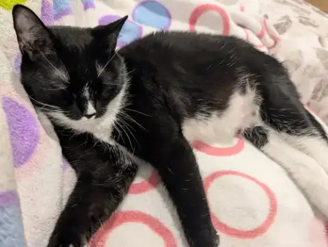 Momma Persephone