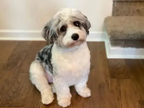 Zion