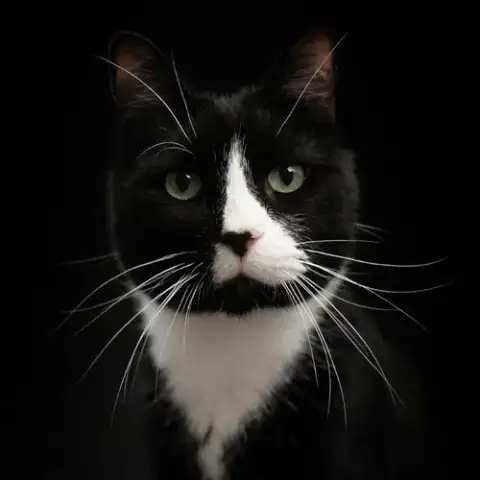 Sonny