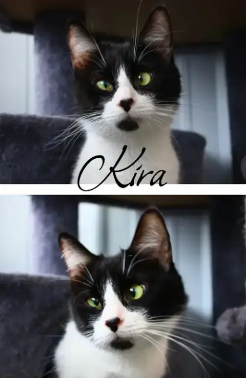 Kira