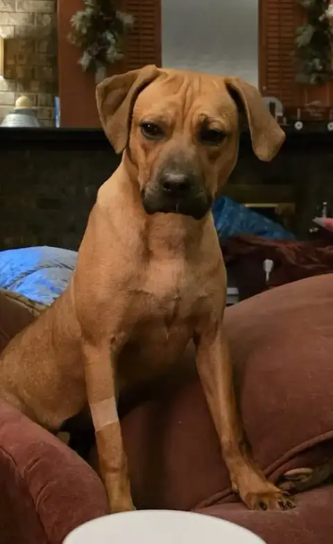 Nala photo 5