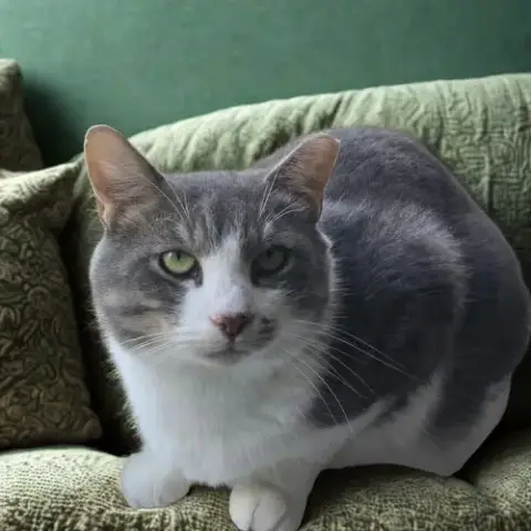 Micah photo 4