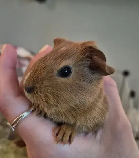 Penelope photo 5