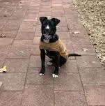 Suzie