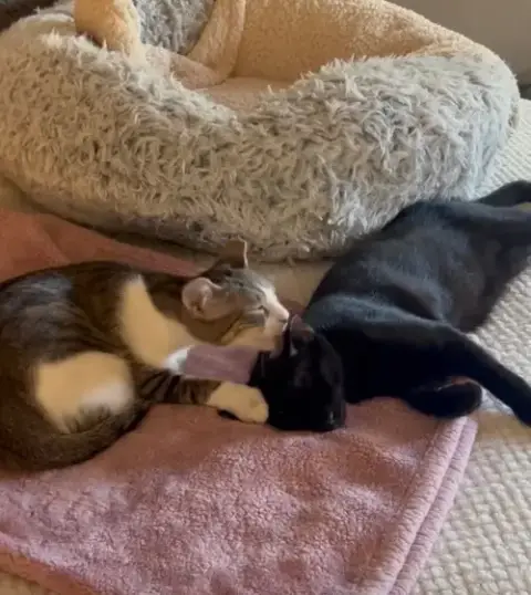 Binx And Nina photo 2