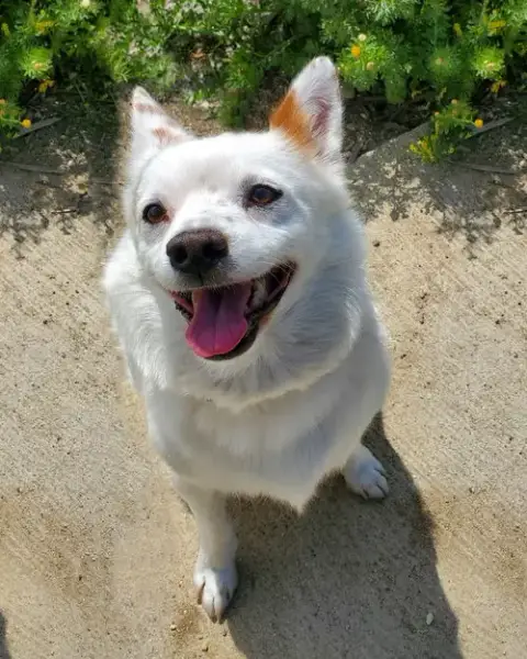 Miles photo 2