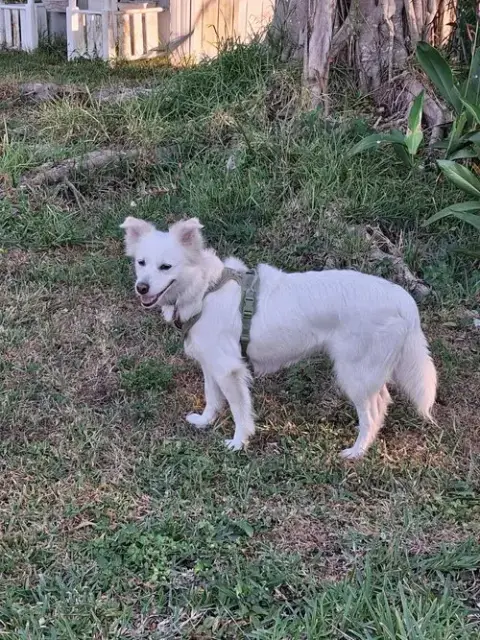 Luna Of Central Fl photo 3