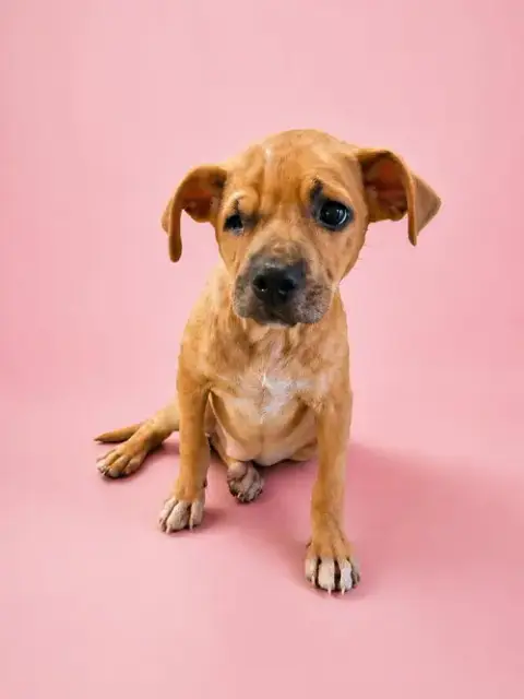 Esther