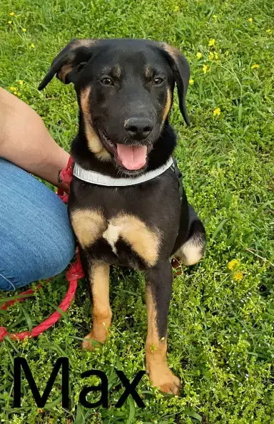 Max