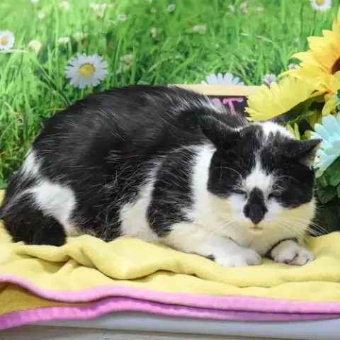 Wally photo 3