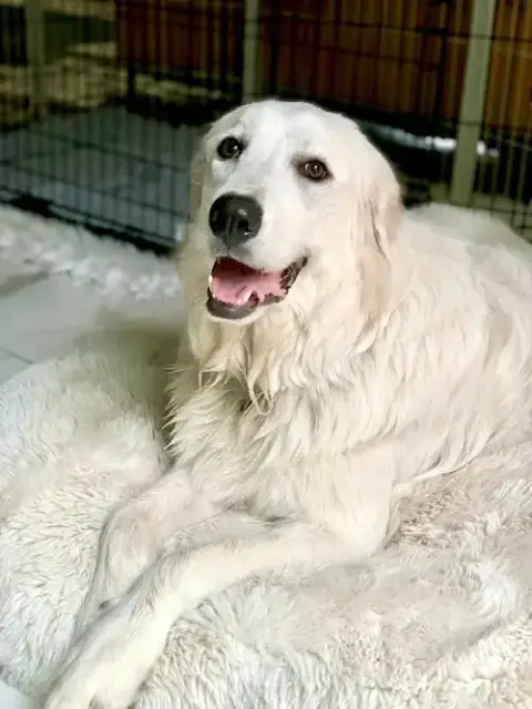 Irene photo 2