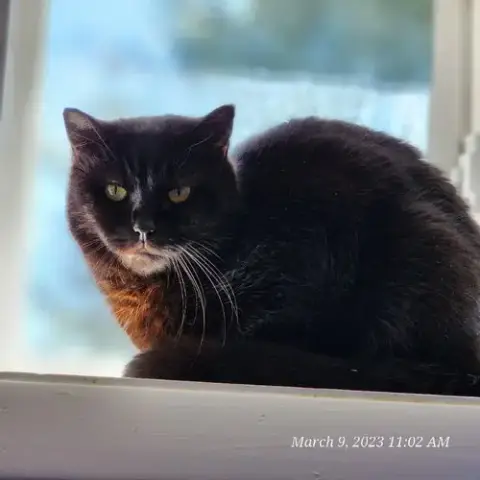 Sammy photo 2