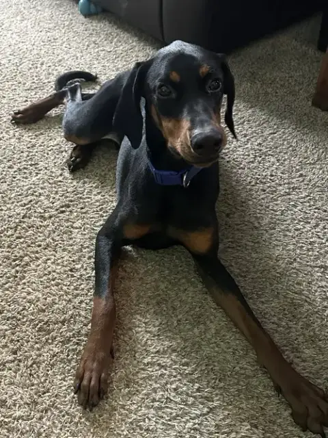Dante photo 2