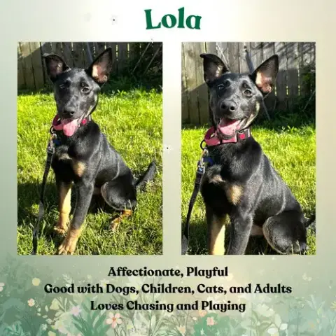 Lola