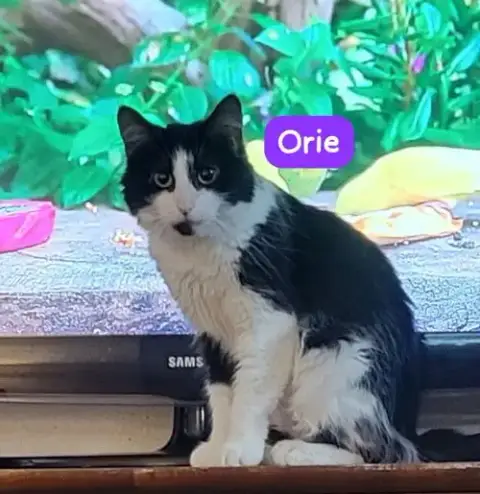Orie photo 2