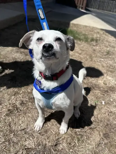 Bernie