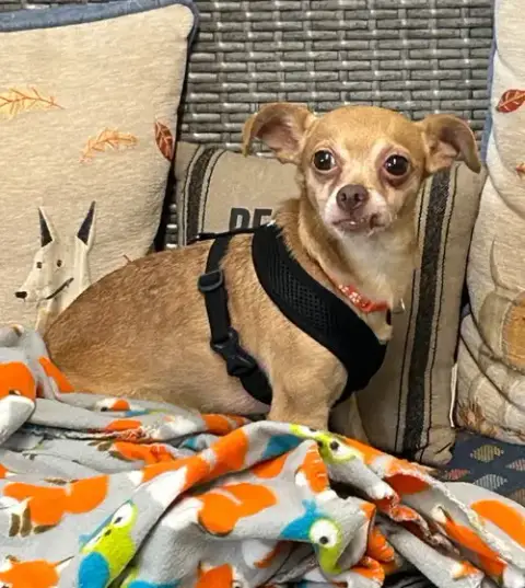 Morty