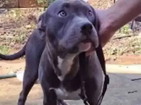 Jax