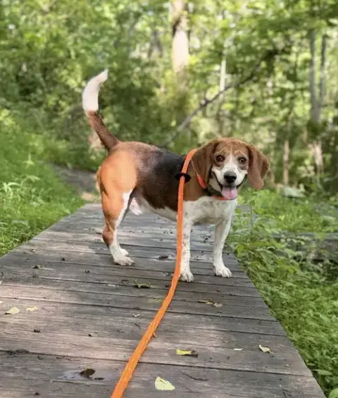 Cooper photo 3