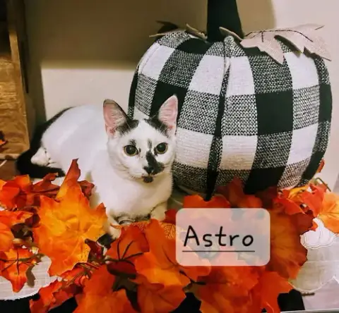 Astro #To-Infiniti-And-Back photo 3