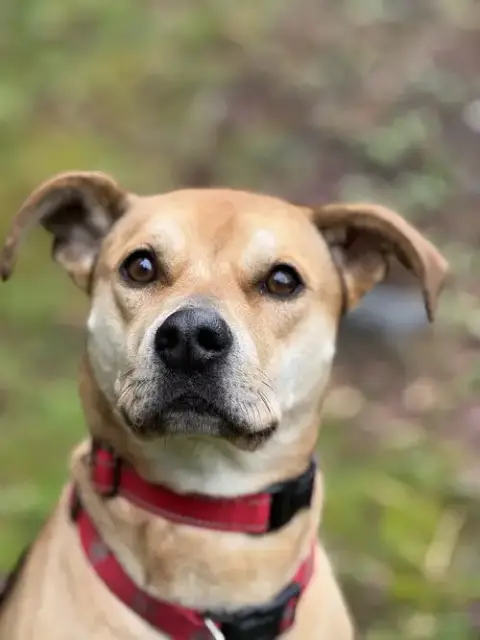 Roxy photo 2