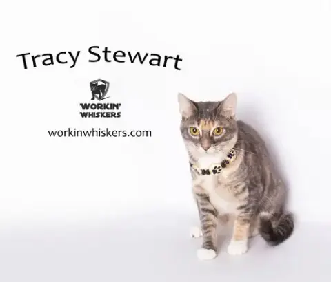 Tracy Stewart